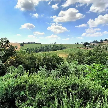 Villa Scappo In Umbria, Le Scarsine *