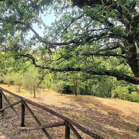 Scappo In Umbria, Le Scarsine